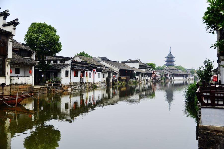解救可爱的鸭子